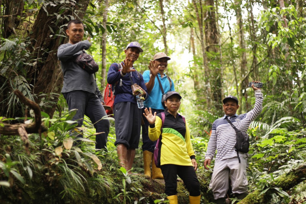 adopsi hutan