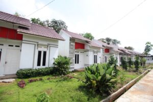 flpp, program 3 juta